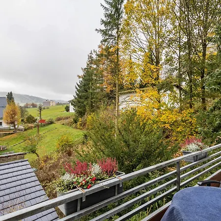 Appartamento Napierski Willingen (Upland)