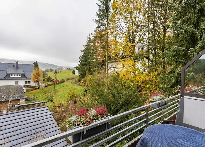 Apartamento Napierski Willingen (Upland)