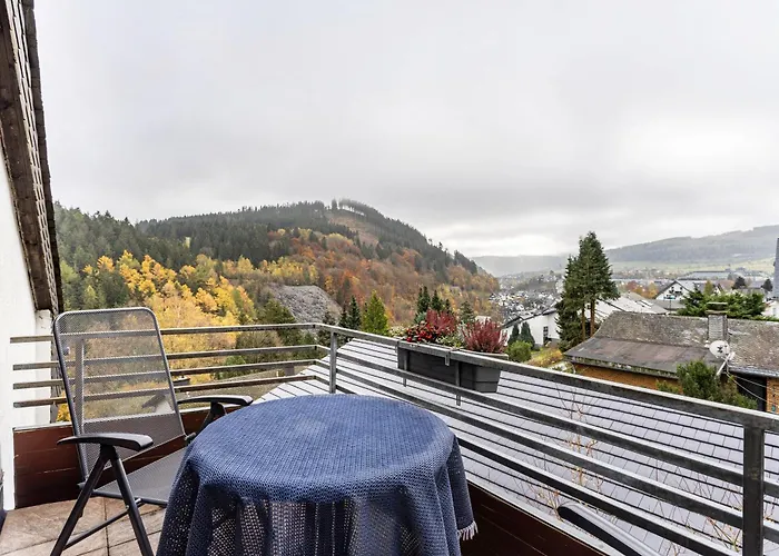 Apartamento Napierski Willingen (Upland)