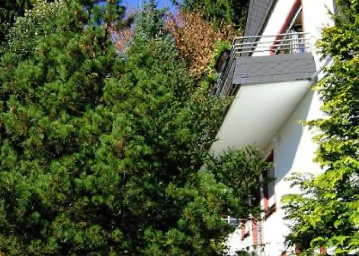 Napierski Apartamento Willingen (Upland)