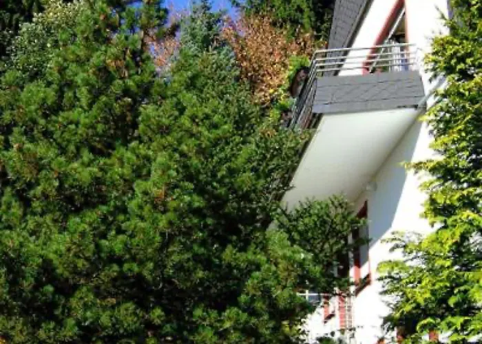 Napierski Appartement Willingen (Upland)